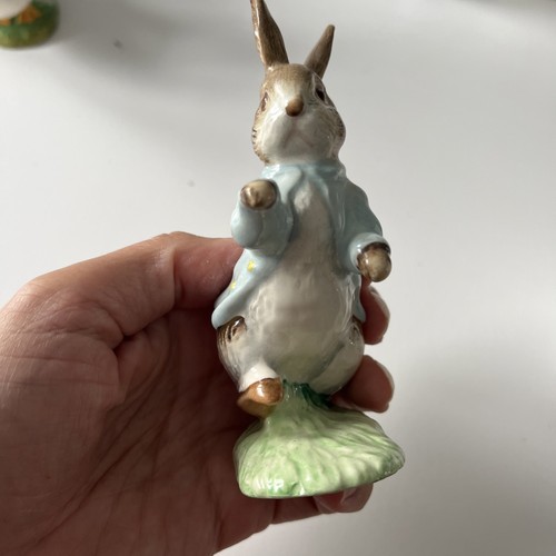 Peter rabbit beatrix potter - rabbit,