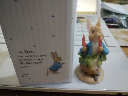 Peter rabbit figure from - figure,