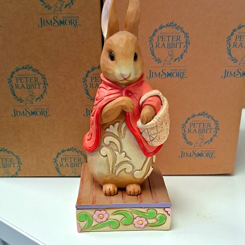 Jim shore peter rabbit - jim,