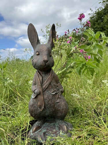 Peter rabbit garden - peter, ornament