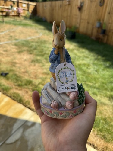 Jim shore beatrix potter - shore, peter