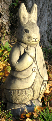 Peter rabbit beatrix potter - peter,