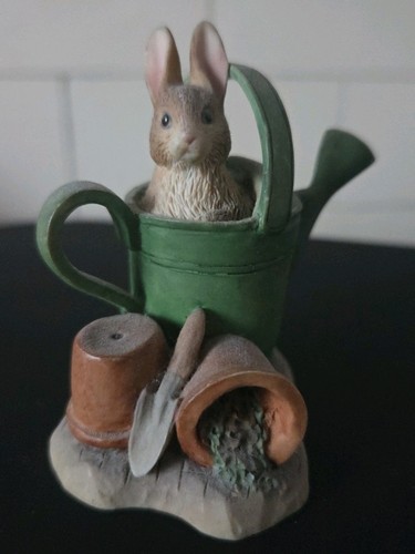 Peter rabbit - rabbit,